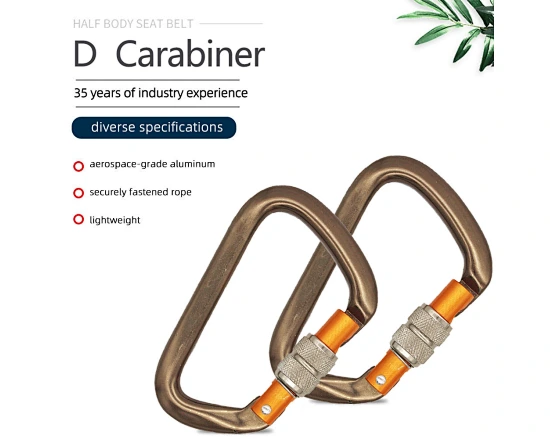 auto locking carabiner